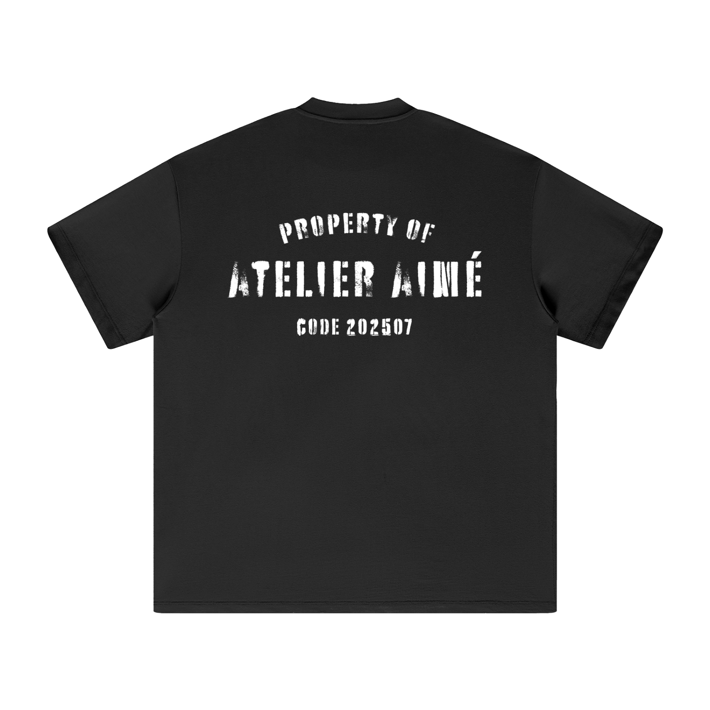 Property black T-Shirt